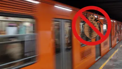 Video viral muestra chinches en asientos del Metro.