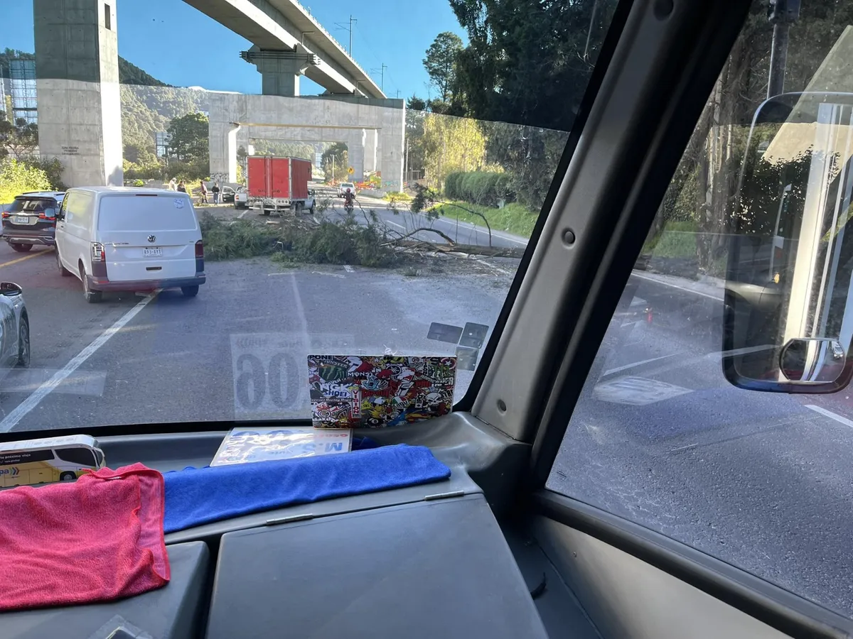[VIDEO] Árbol caído provoca caos vial en la México-Toluca