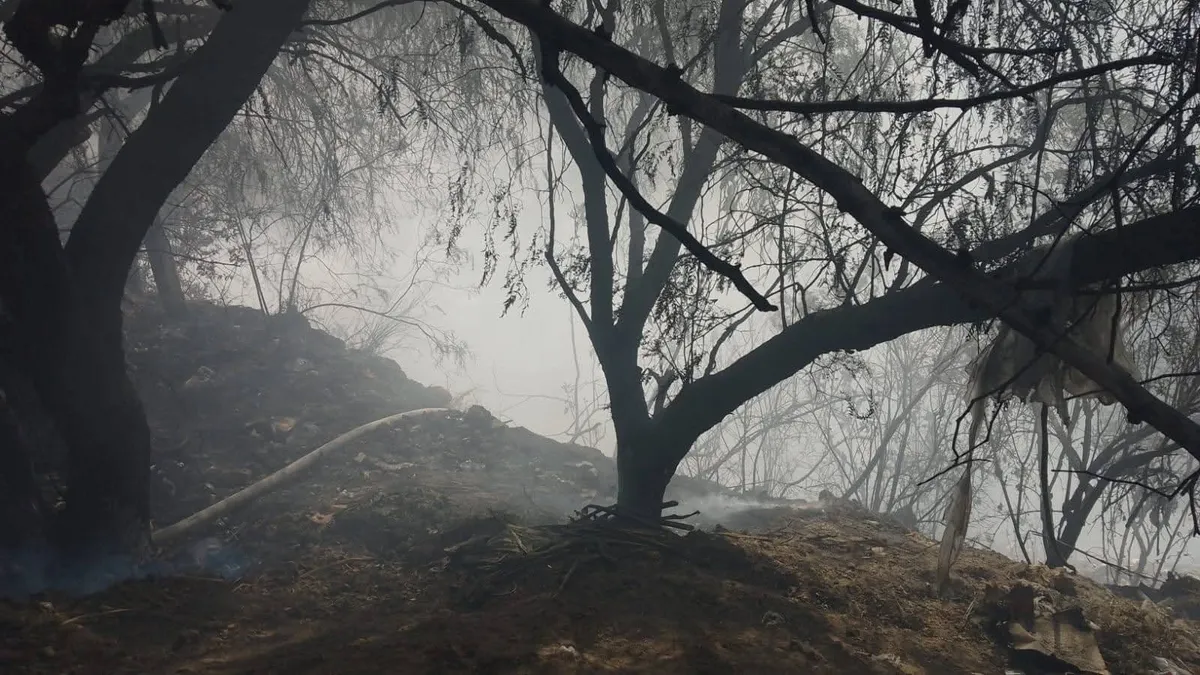 Denuncian tala masiva en zona limítrofe entre Atizapán y Jilotzingo