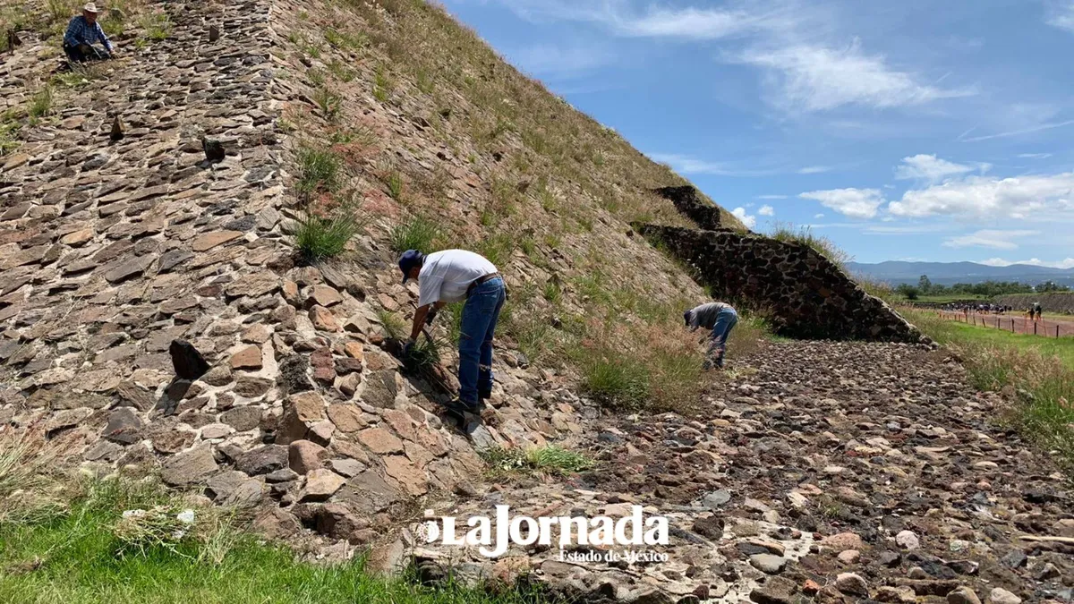 Video: Maleza invade la pirámide del Sol en Teotihuacán