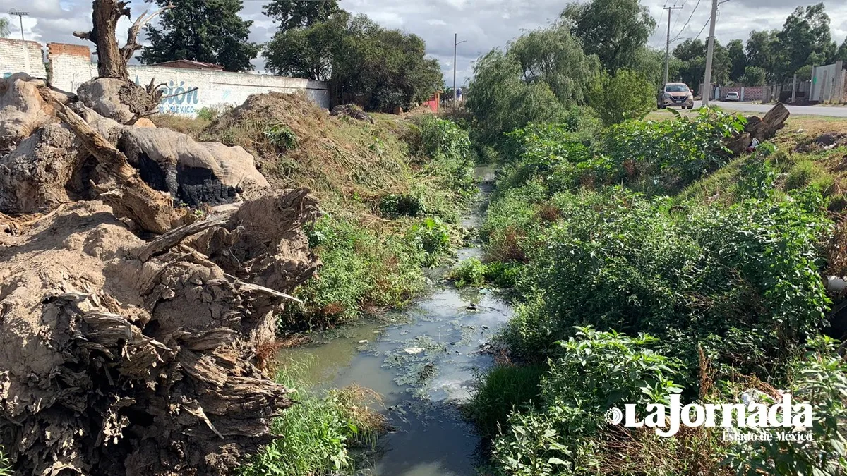 Temen desborde de ríos con lluvias extremas en Acolman