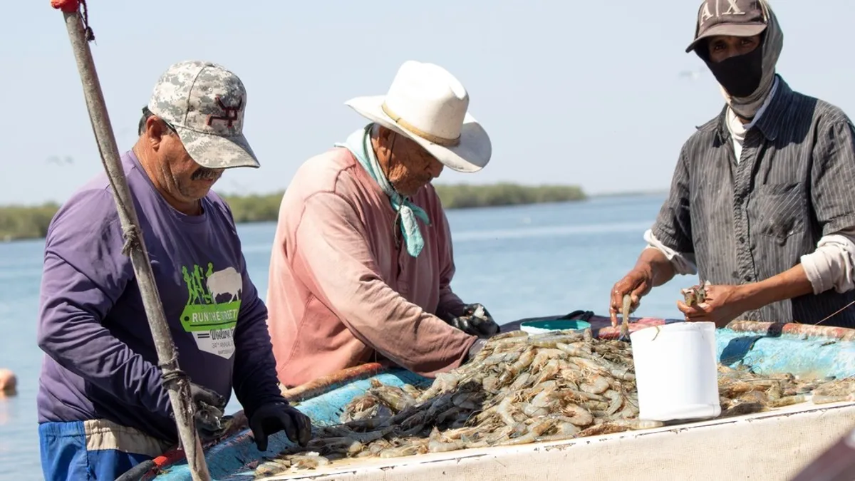 Levantan la veda a la pesca de camarón