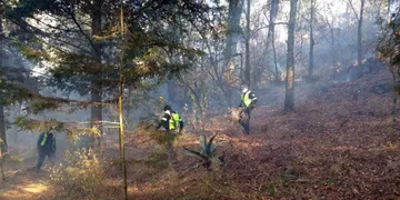 Probosque: Hoy fueron liquidados 17 incendios en el Edomex