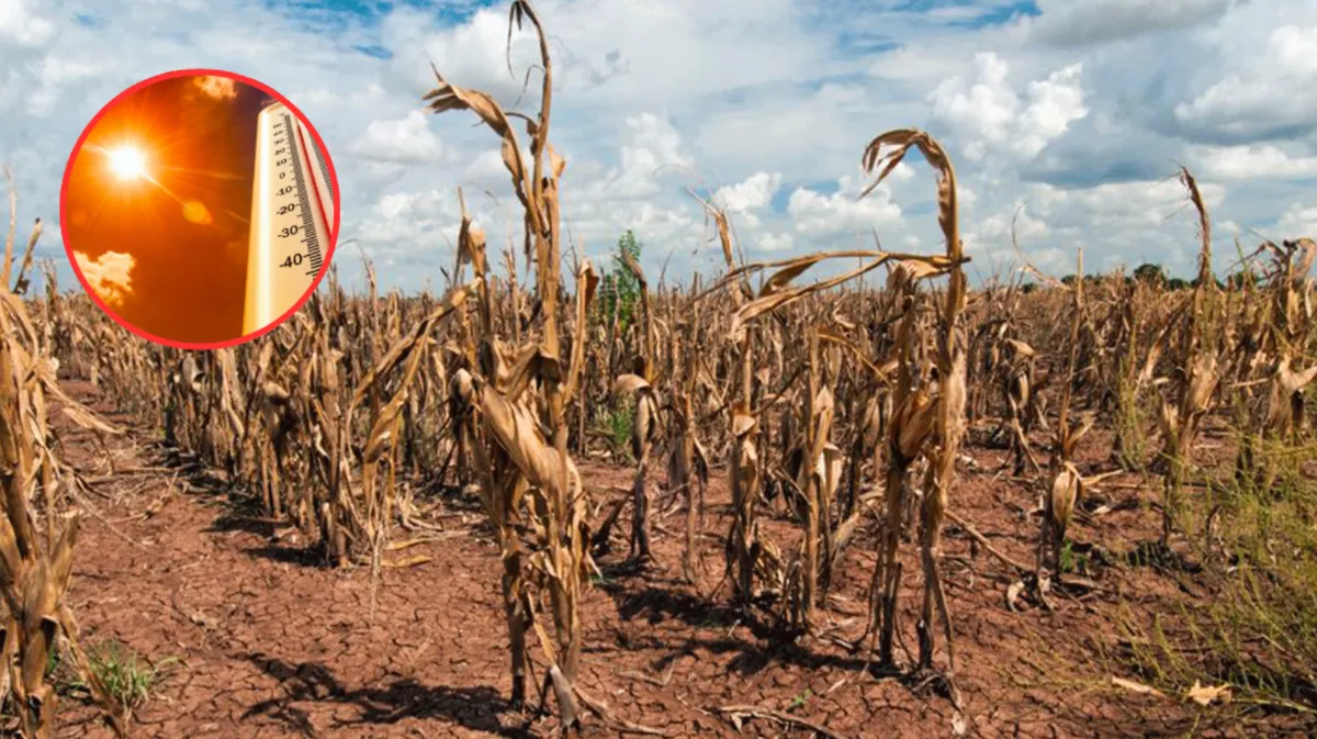 Aumento de temperaturas en Edomex alerta por posible sequía en 2026