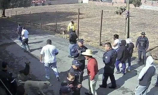 Hijos despojan a su madre de 92 años de su casa, en Chiautla