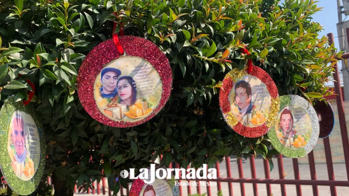 En Ecatepec, el “Árbol de la Esperanza” enciende la memoria de los desaparecidos