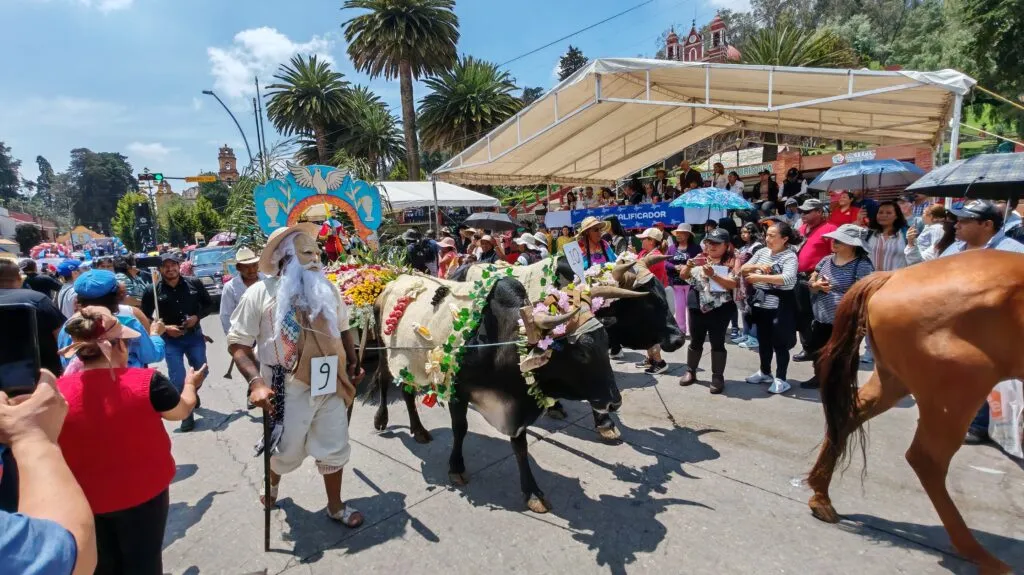 Conmemoran en Metepec el Paseo de San Isidro Labrador; participan más de 800 contingentes