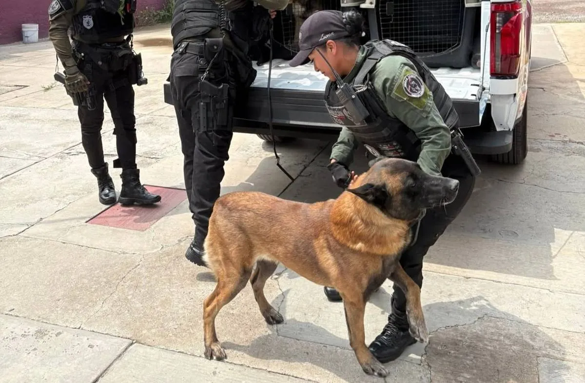 Unidad canina de Chimalhuacán sin maltrato animal: CEPANAF