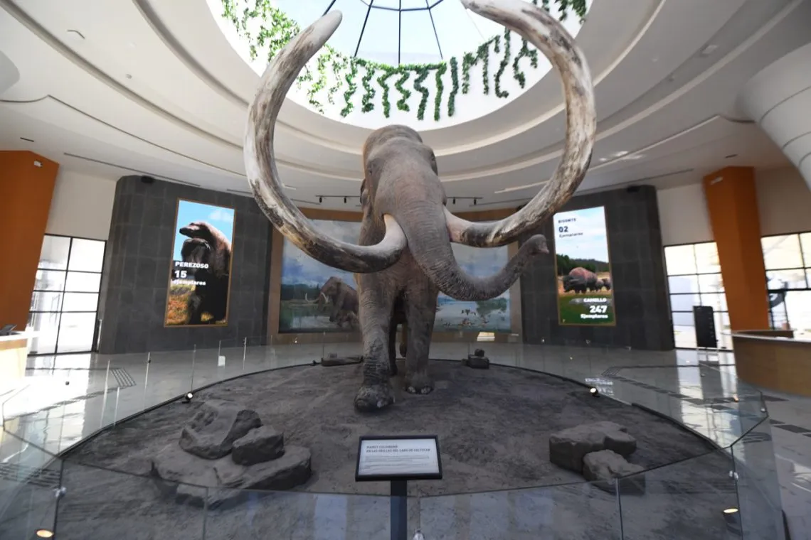 ¿Ya conoces el Museo Paleontológico de Santa Lucía?