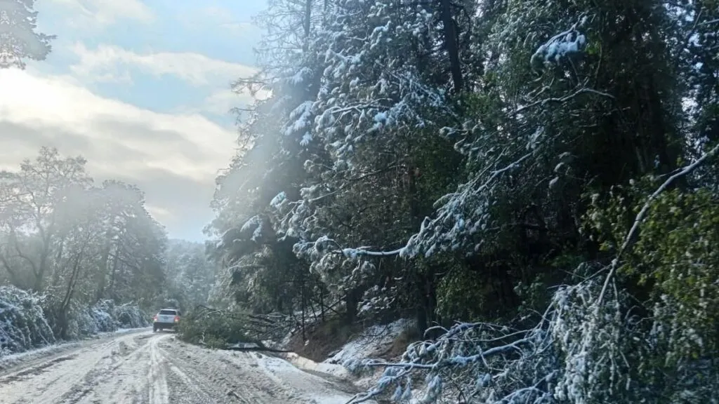 Nevadas cubren volcanes del Edomex en plena primavera; Nevado de Toluca permanece cerrado