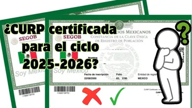 ¿Cómo saber si la CURP está certificada para el ciclo 2025-2026 en Edomex?