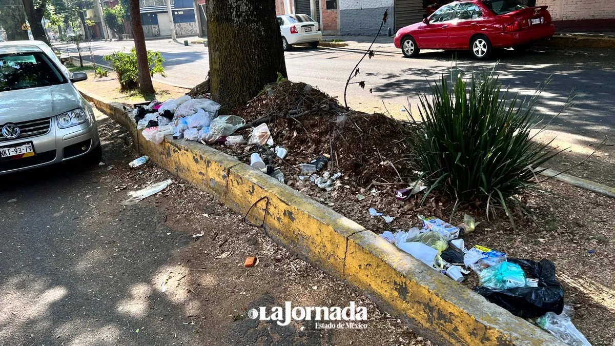 Basura en la vía pública, tiran desechos en calles de la colonia ...