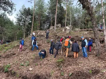 Xonacatlán: Habitantes hacen un llamado para reforestar Mimiapan