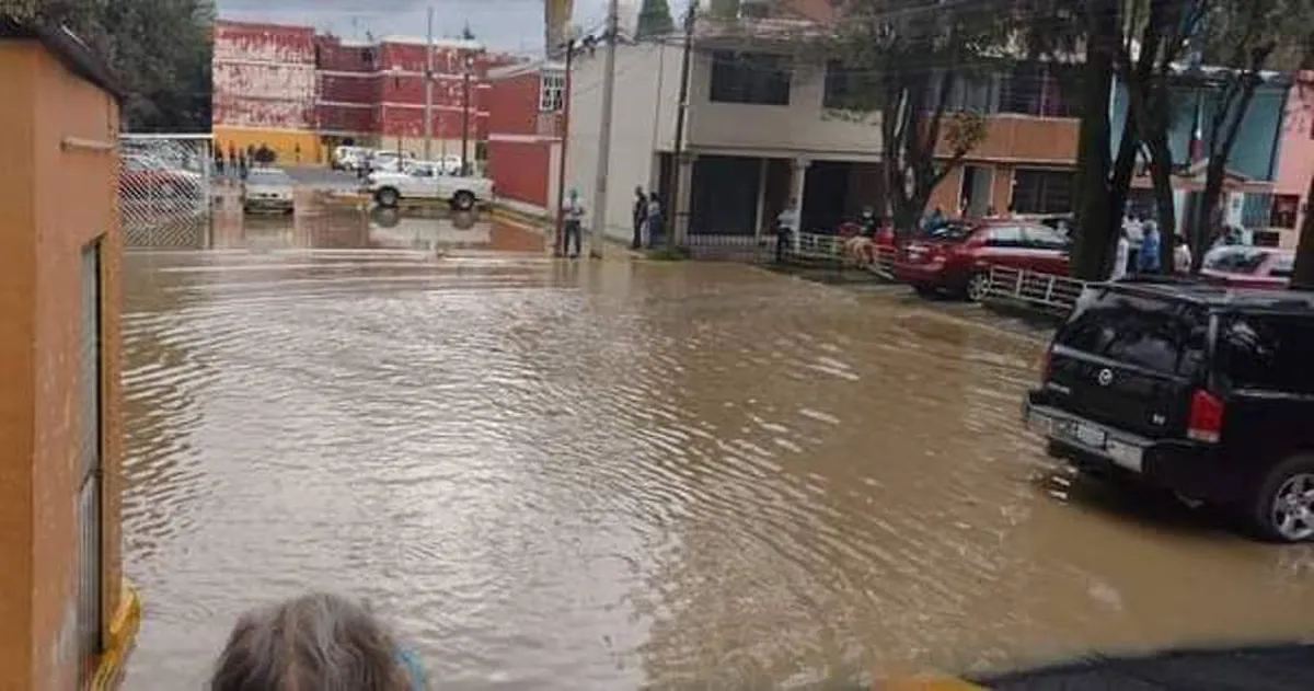 Los remedios