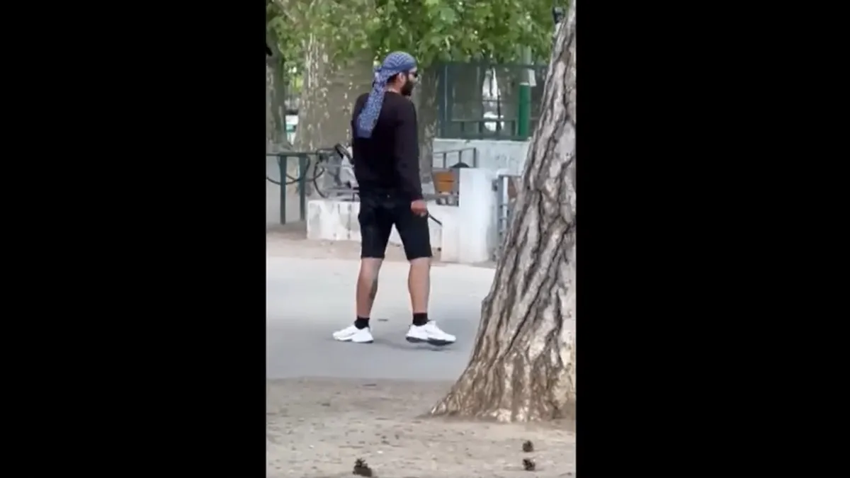 Este jueves cuatro niños y dos adultos en un parque de la localidad de Annecy, en los Alpes Franceses, en el este del país, fueron heridos por un hombre que fue detenido tras el ataque. Foto:vCaptura