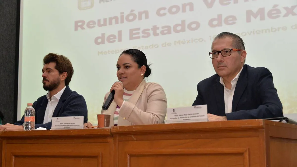 GEM vigilará funcionamiento de verificentros