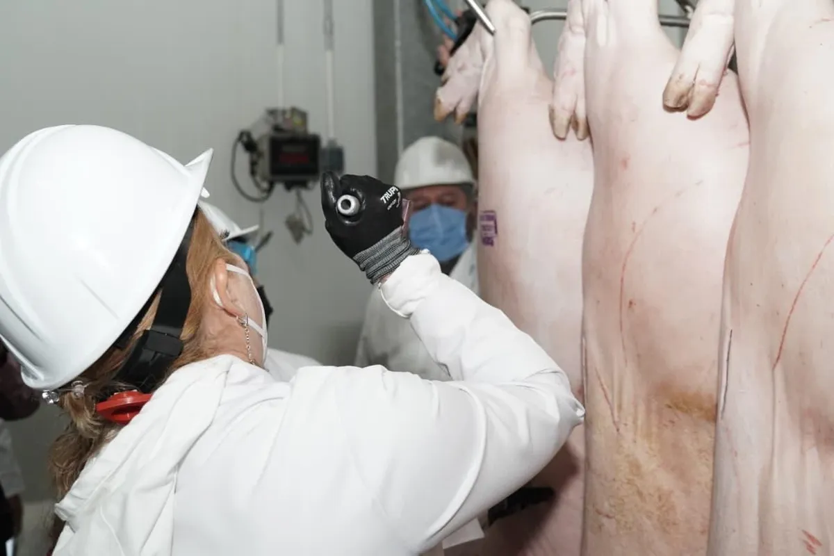 Supervisan rastros municipales para garantizar la venta segura de carne