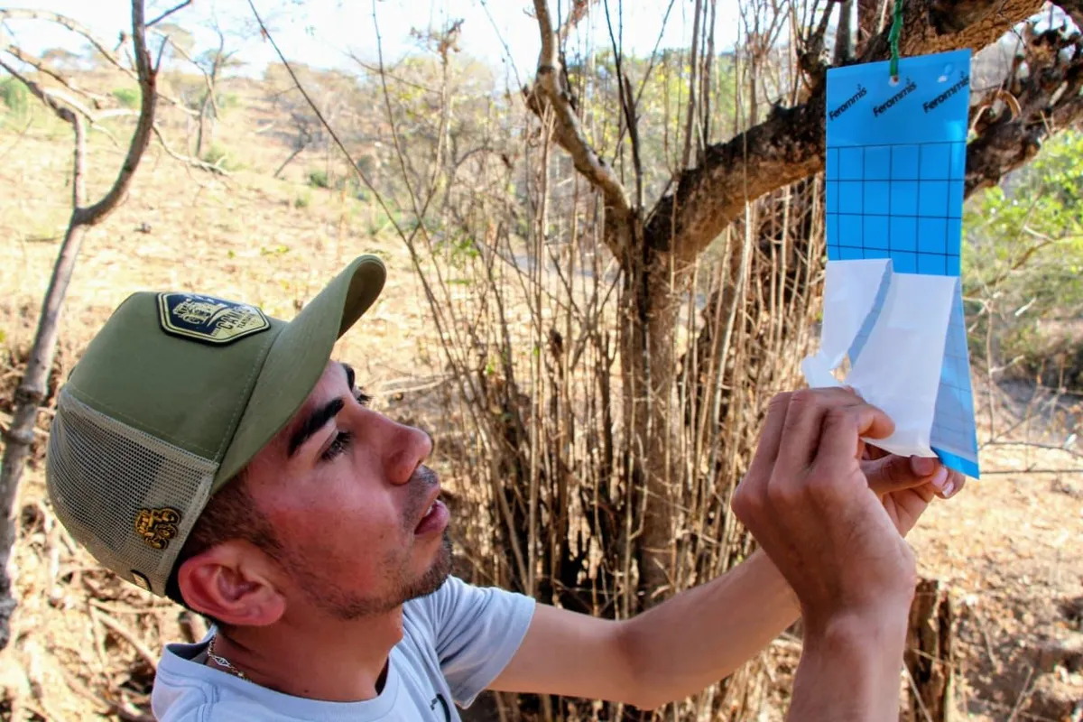 El ganado afectado no ha sido sacrificado ni puesto en cuarentena y presenta evolución favorable.