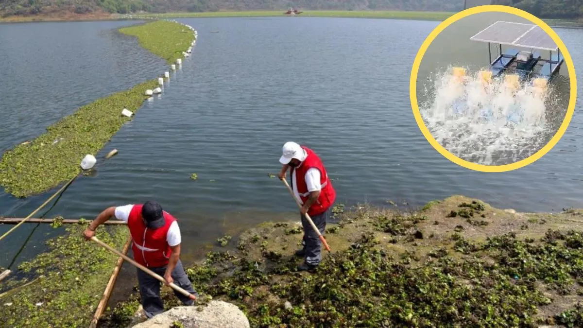 Cuautitlán Izcalli aplica tratamiento para sanear micro lagunas del Lago de Guadalupe