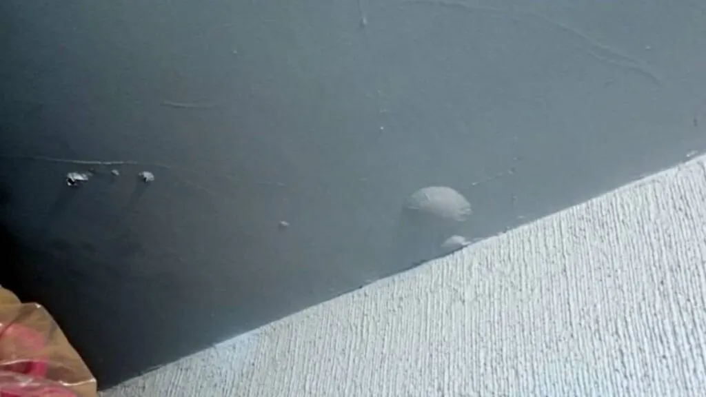 Sin apoyo locales comerciales afectados por obras del Suburbano al AIFA