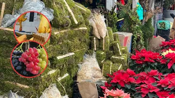 Mercado Juárez: caen precios de pollo y frutas; sube la uva verde  [Recorrido semanal]