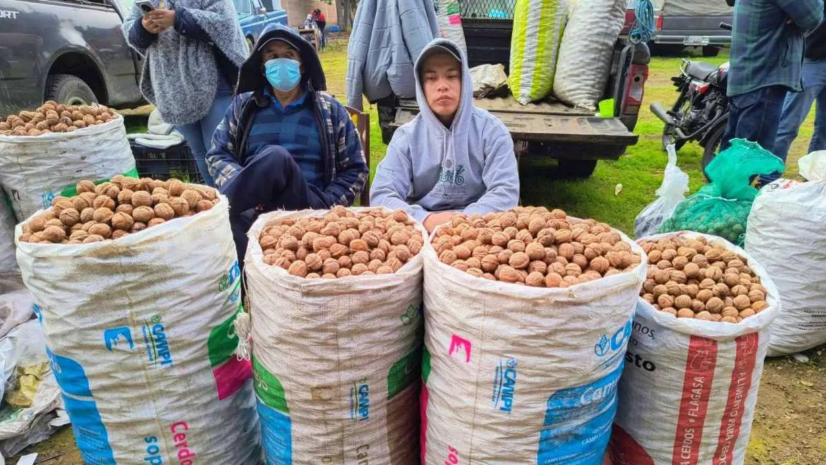 Censo de artesanos 2026 se prepara en Atlautla