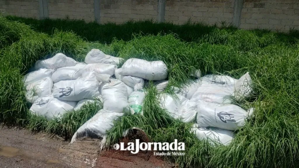 Habitantes de La Constitución y San Blas colocan costaleras para evitar inundación
