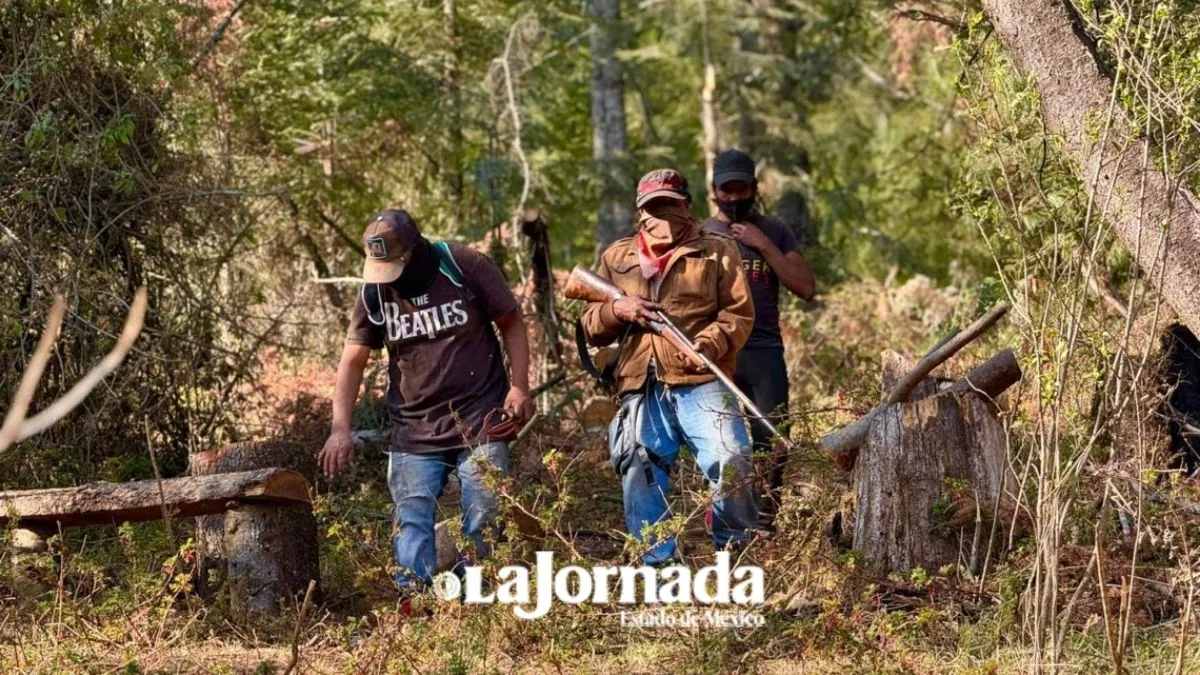 Edomex registra 5 mil alertas de deforestación, refiere GFW