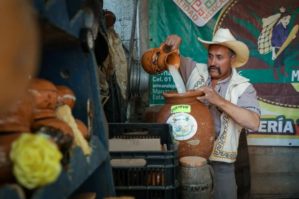 Productores de pulque del Edomex ya cuentan con nuevos espacios para comercializar su producto