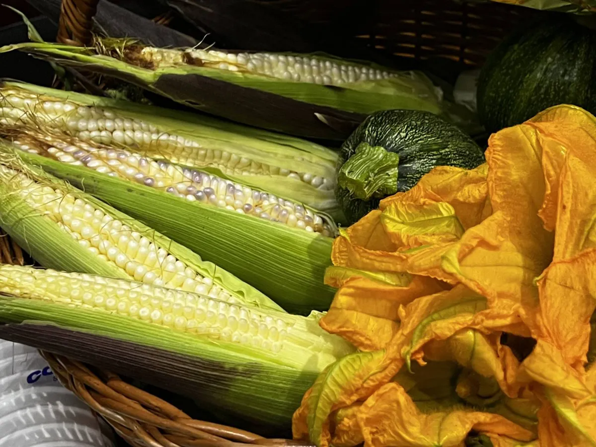 Retoman Feria del Elote en Cocotitlán