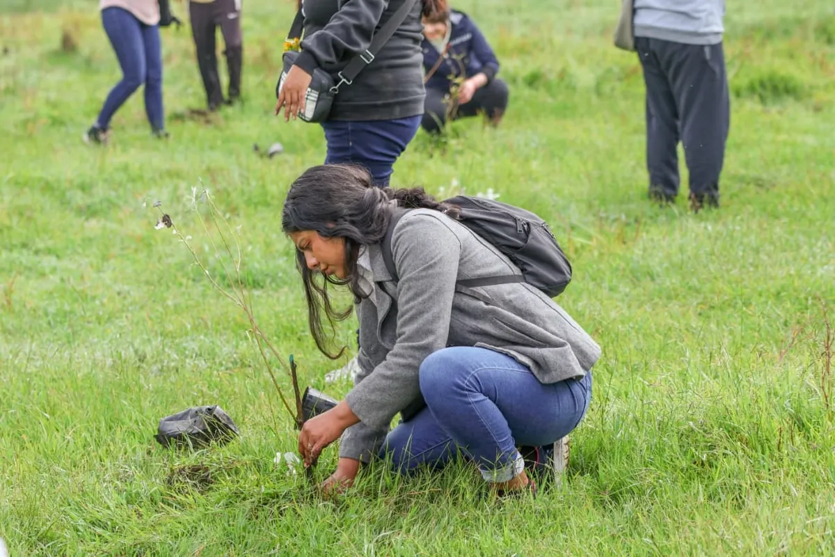 Toluca planta más de 112 mil árboles en 2025