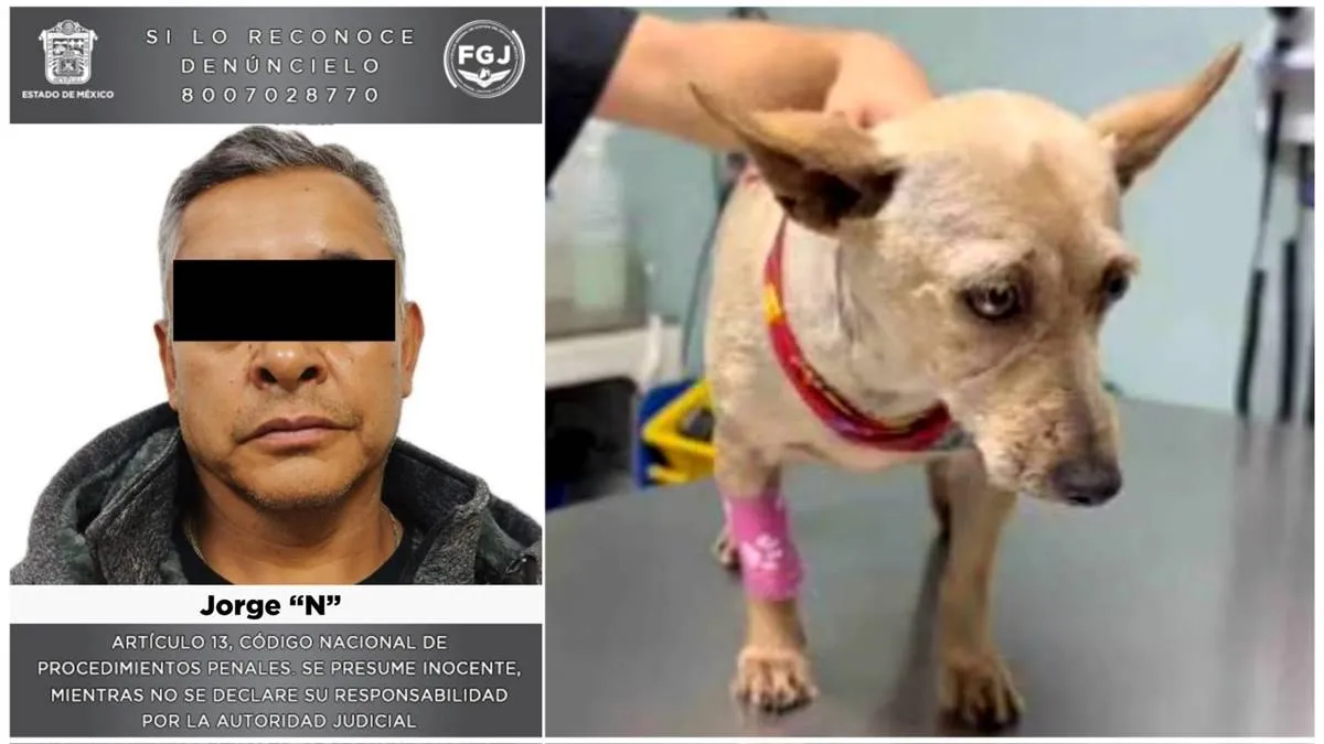 Naucalpan: Ingresan al penal a trabajador de limpieza por golpear a perro taquito