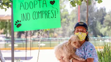 Día mundial del perro: impulsan adopción en municipios del Edomex