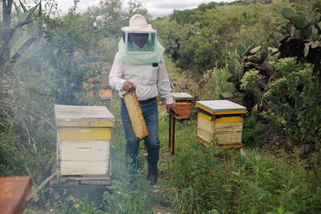 Perfil: Karina y Noé, los apicultores de Texcoco que persiguen la floración para salvar abejas