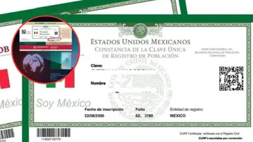 Toluca elimina burocracia: CURP será prueba de vida oficial en 2026