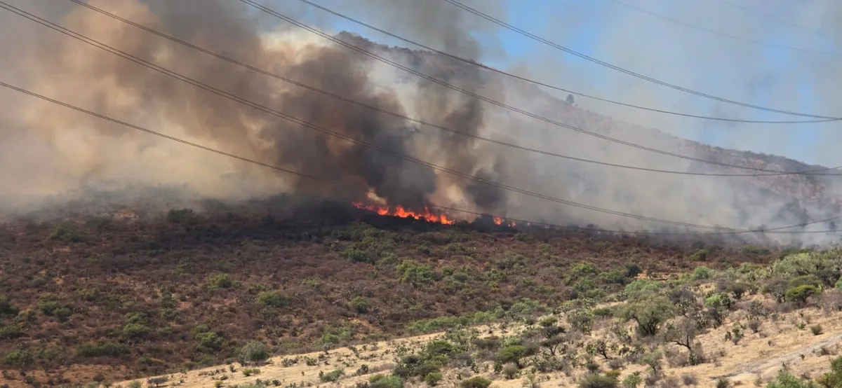 En lo que va de 2026, se han contabilizado 70 siniestros de este tipo, cifra superior a la registrada en el mismo periodo del año pasado.