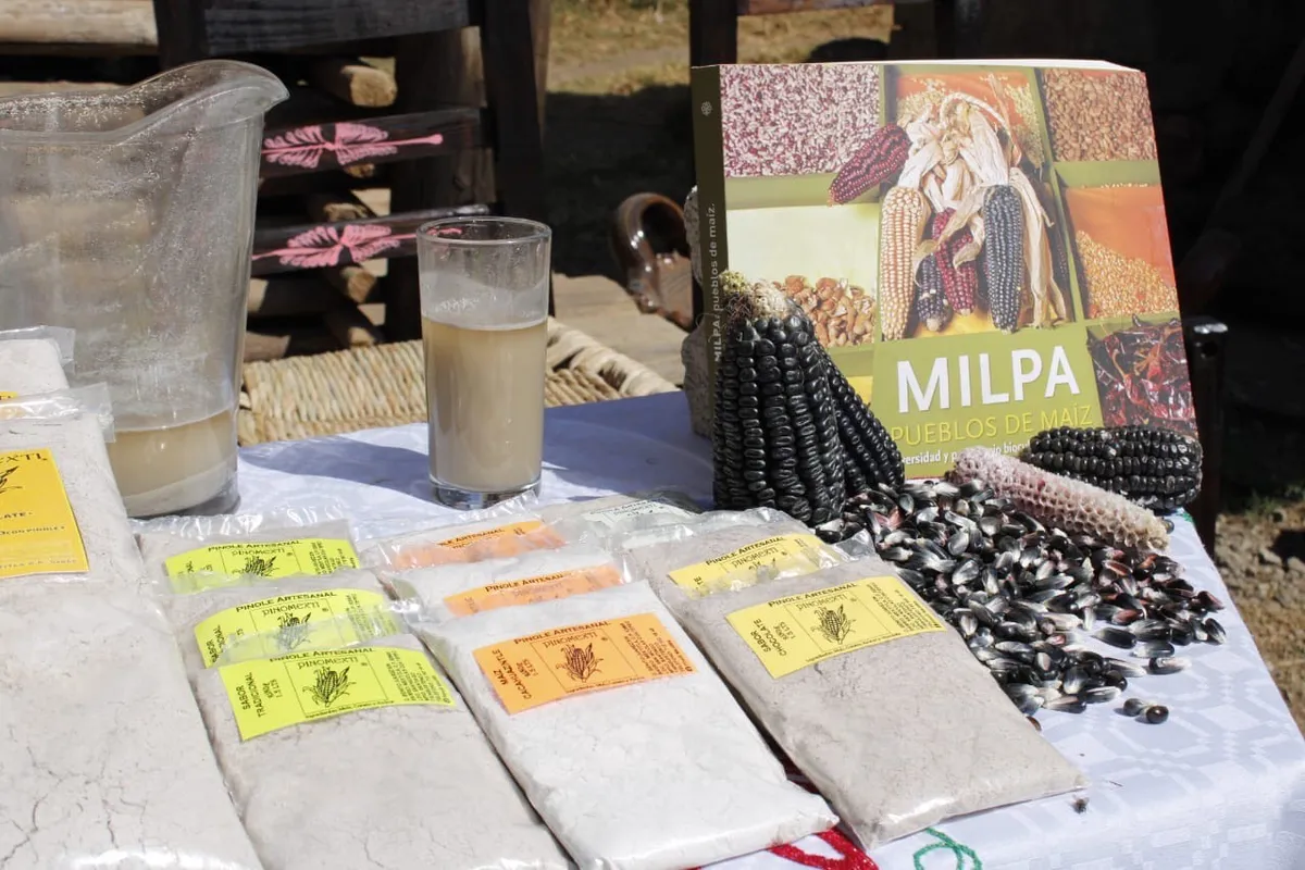 Artesanos mexiquenses preservan tradición de elaborar pinole