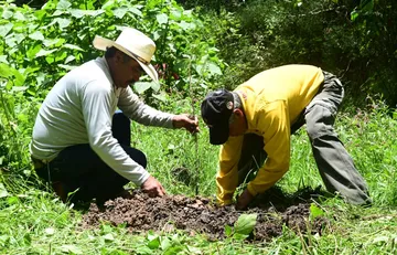 Restaura Gobierno del Edomex bosques para proteger ríos