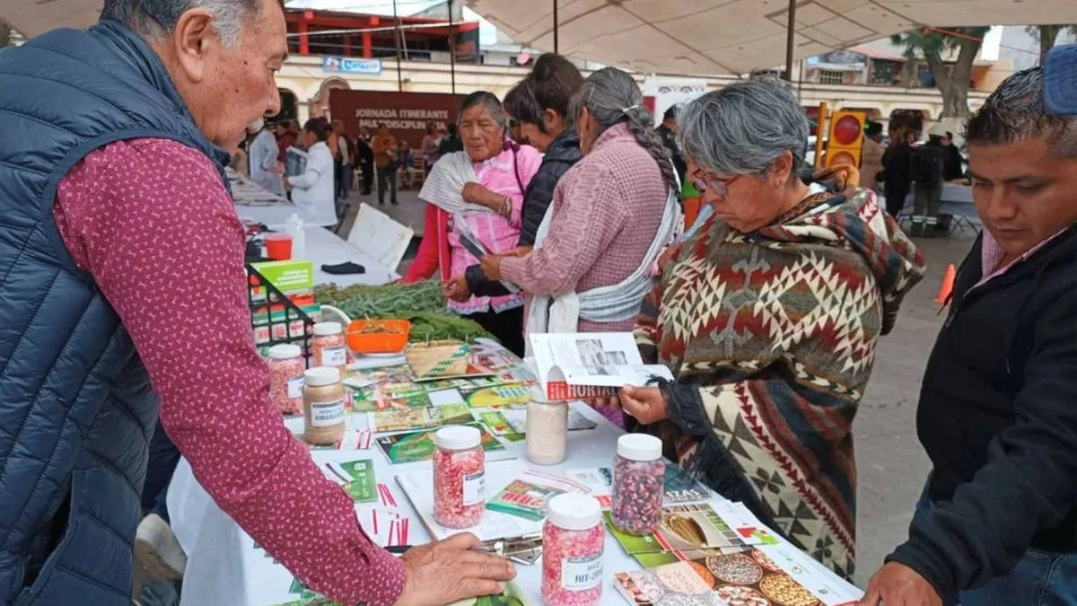 Comunidades originarias contarán con servicios médicos y asistenciales