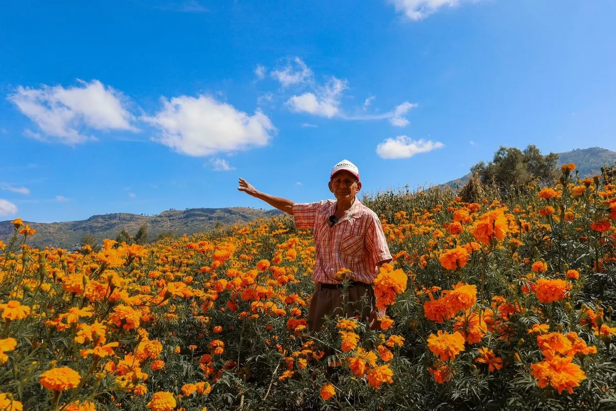 El Gobierno de Texcoco impulsa rutas para que productores comercialicen la Flor de cepasúchil