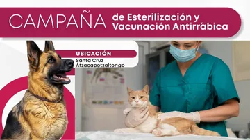 Santa Cruz Atzcapotzaltongo anuncia campaña de esterilización gratuita. Aquí los detalles