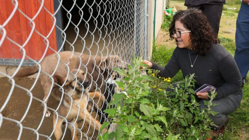 UAEMéx: Rectora visita el Centro Integral Multiespecie