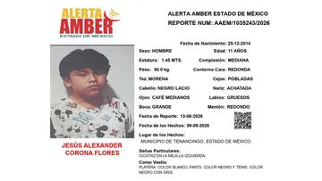 Alerta Amber: Se busca a Jesús Alexander Corona Flores, desaparecido  Tenancingo