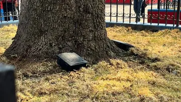 Ayuntamiento de Toluca pone en marcha plan para combatir plaga de roedores en Parque Urawa