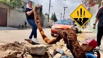 Una enorme raíz bloqueaba la red de agua potable en Ecatepec durante 10 años; Sapase logró retirarla y restablecer el servicio.