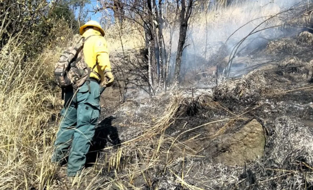 Abaten incendios en Izta-Popo y Donato Guerra