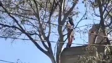 Video: Policía abate a presunto homicida en Tlalnepantla; vecinos lo niegan