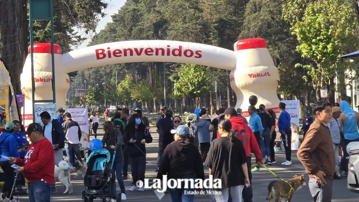 Caminata perrona en Toluca