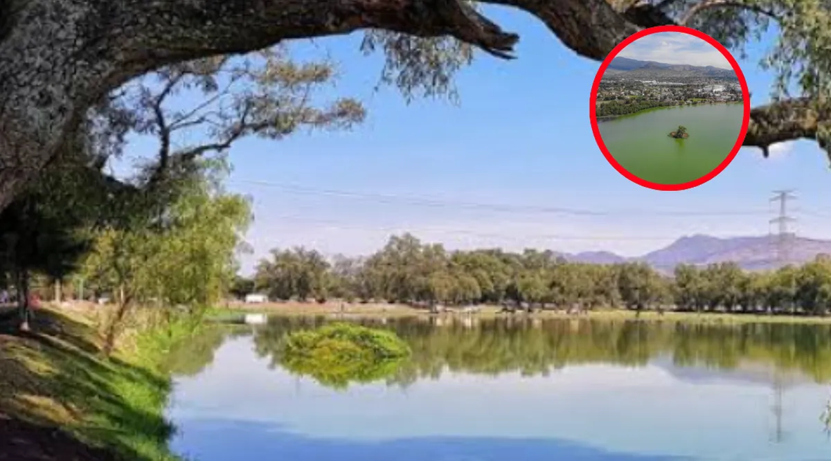 Conservación de su laguna es vigilante por vecinos de Axotlán
