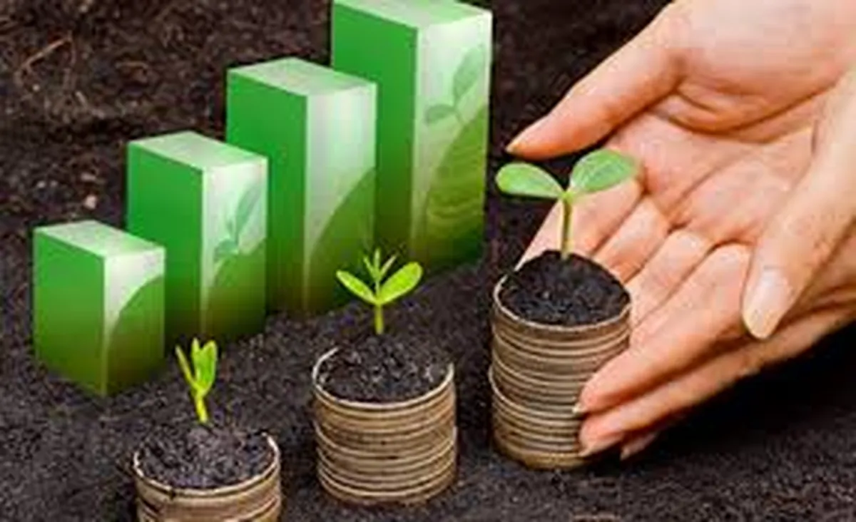 Analiza CCE Estado de México y Secretaria de Finanzas creación de impuestos ecológicos